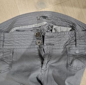 Gray Button-Front Pants